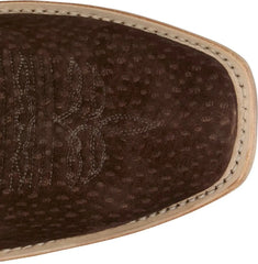 Maxwell 13" Carpincho