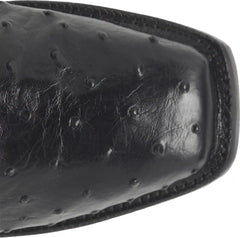 Rancher 12" Full Quill Ostrich
