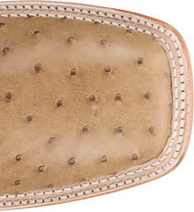 Chisolm 13" Full Quill Ostrich